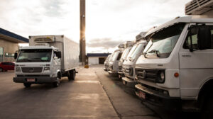 Read more about the article The Ultimate Guide to Buying Seara Halal Chicken in Bulk