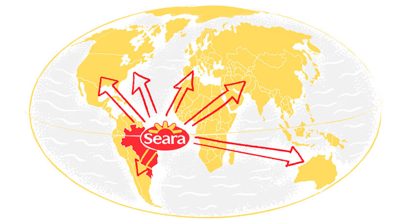 Read more about the article Order Seara Chicken Online – Halal, Fresh Frozen, Delivered
